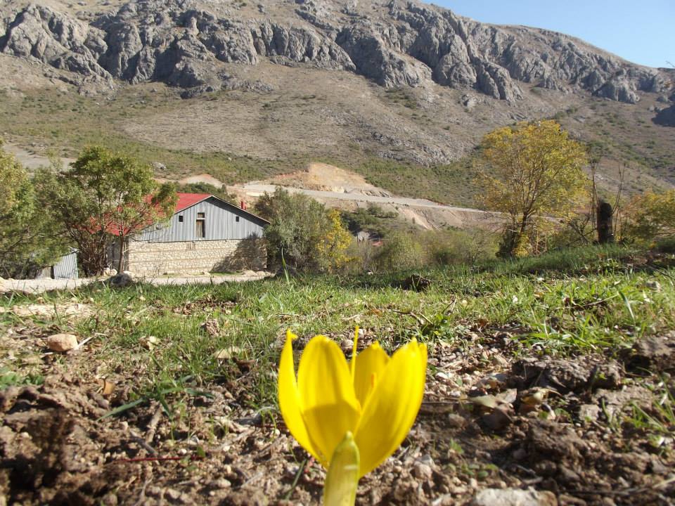 Kemaliye Dallıca Köyü Resimleri 2