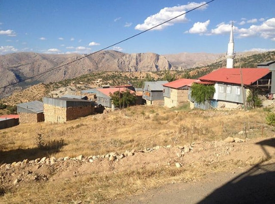 Kemaliye Harmankaya Köyü Resimleri 1