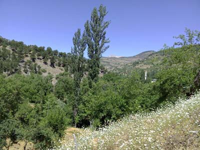 Adana Saimbeyli Çatak Köyü Resimleri 31