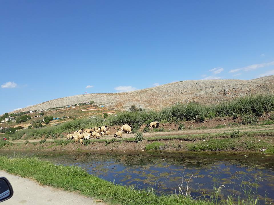 Kırıkhan Kızılkaya Köyü Resimleri 7