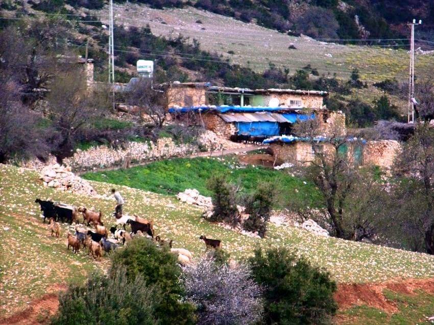 Kırıkhan Kurtlusarımazı Köyü Resimleri 3