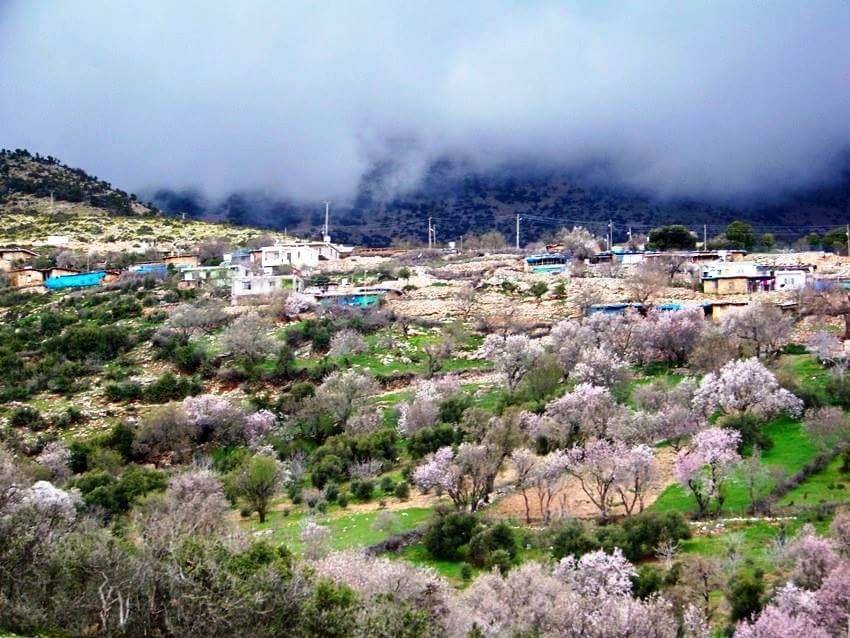 Kırıkhan Kurtlusarımazı Köyü Resimleri 7