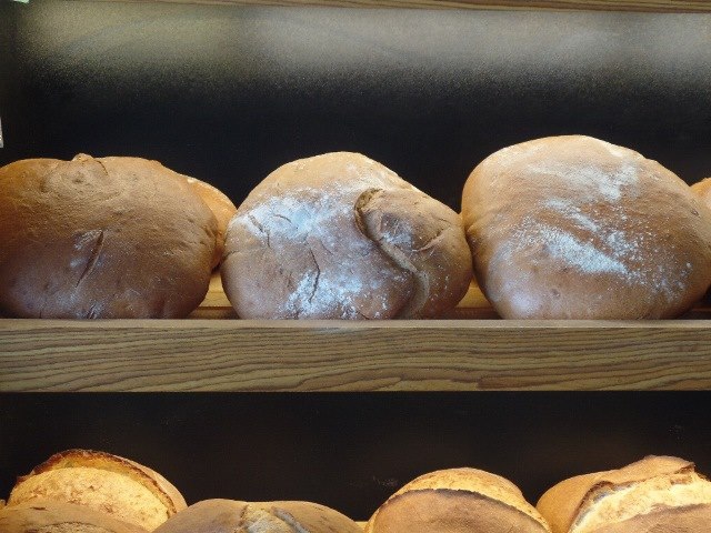 Bodrum Güvercinlik Köyü Resimleri 22