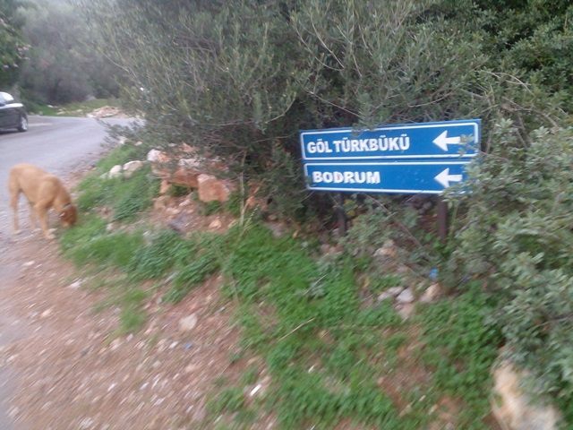 Bodrum Güvercinlik Köyü Resimleri 26