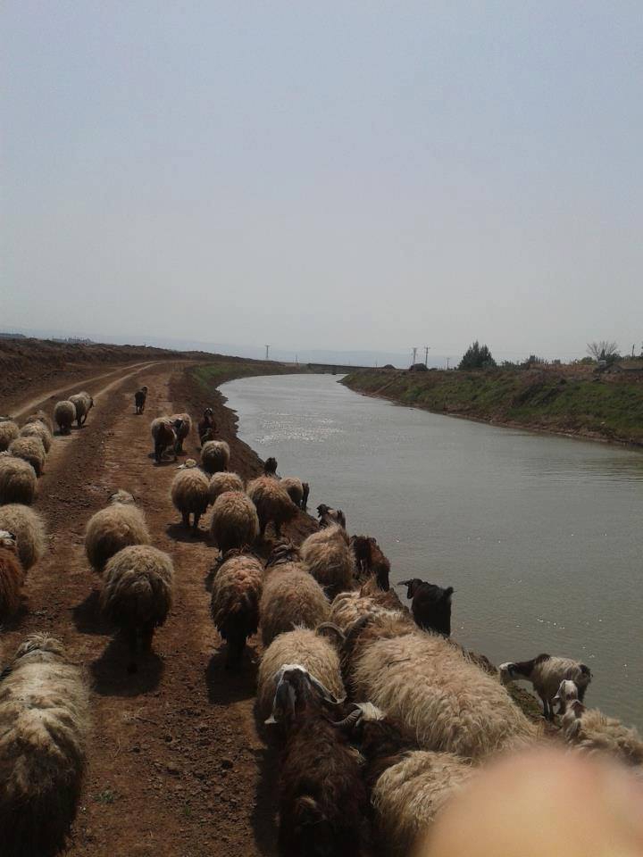 Kırıkhan Özkızılkaya Köyü Resimleri 1