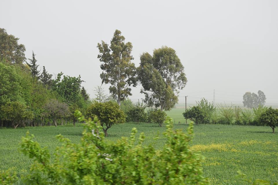 Kırıkhan Özsoğuksu Köyü Resimleri 4