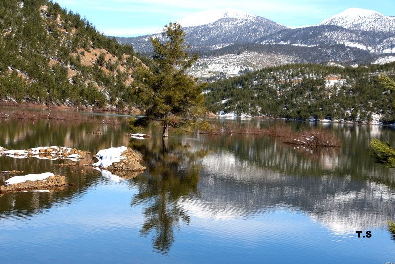 Beyağaç Eşenler Köyü Resimleri 1