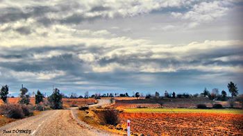 Beyağaç Fatih Köyü Resimleri 2