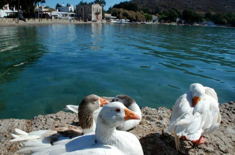 Bodrum Kemer Köyü Resimleri 13