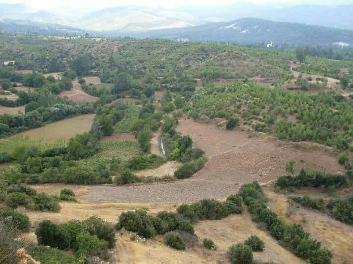 Beyağaç Yeniçeşme Köyü Resimleri 2