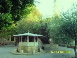 Payas Kozludere Köyü Resimleri 5