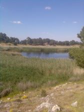 Bozkurt Çambaşı Köyü Resimleri 1