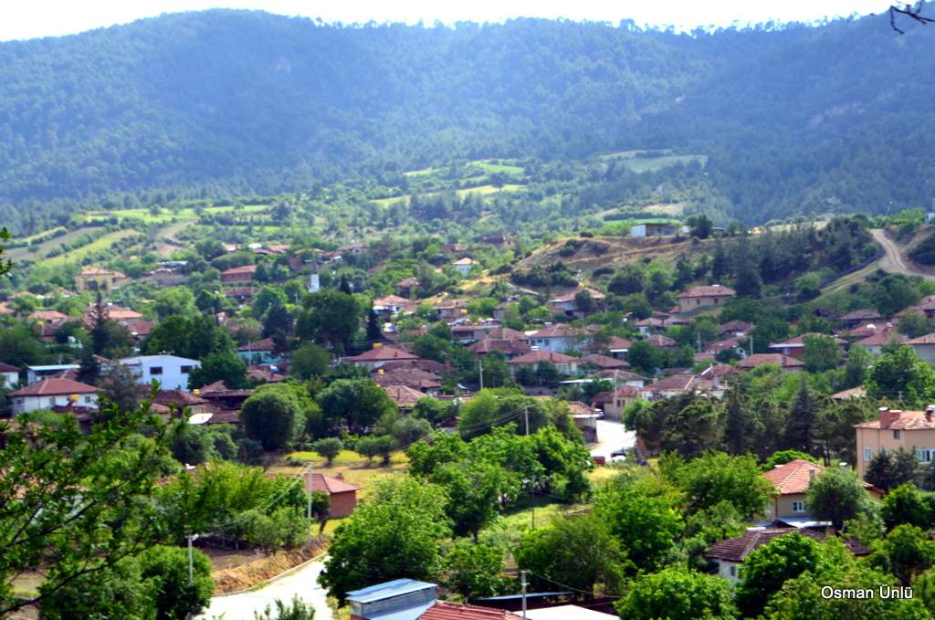 Bozkurt Çambaşı Köyü Resimleri 10