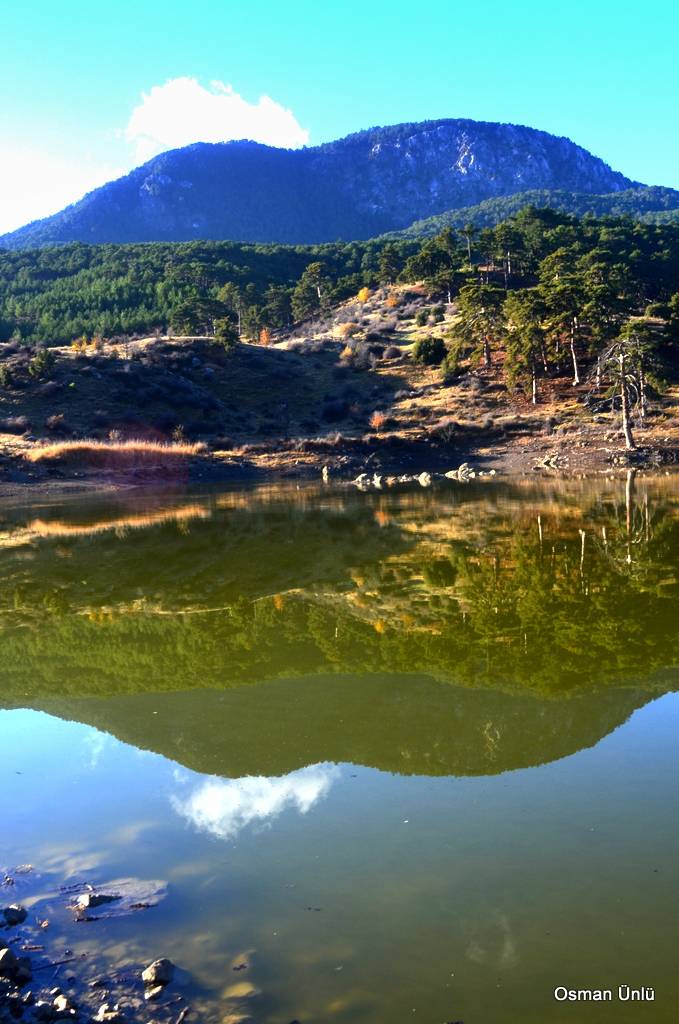 Bozkurt Çambaşı Köyü Resimleri 11