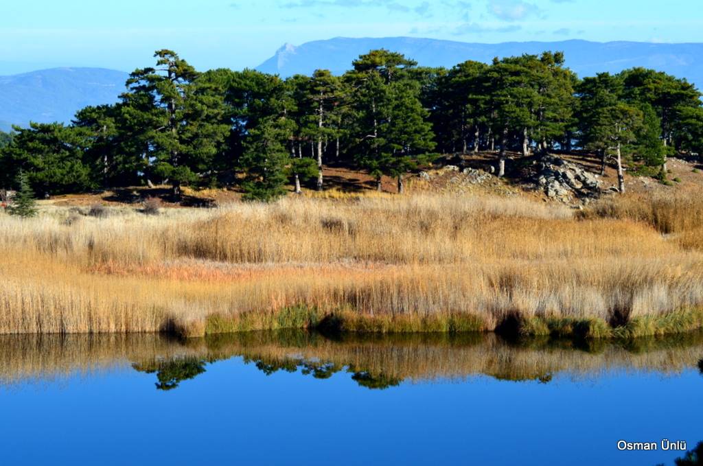Bozkurt Çambaşı Köyü Resimleri 14