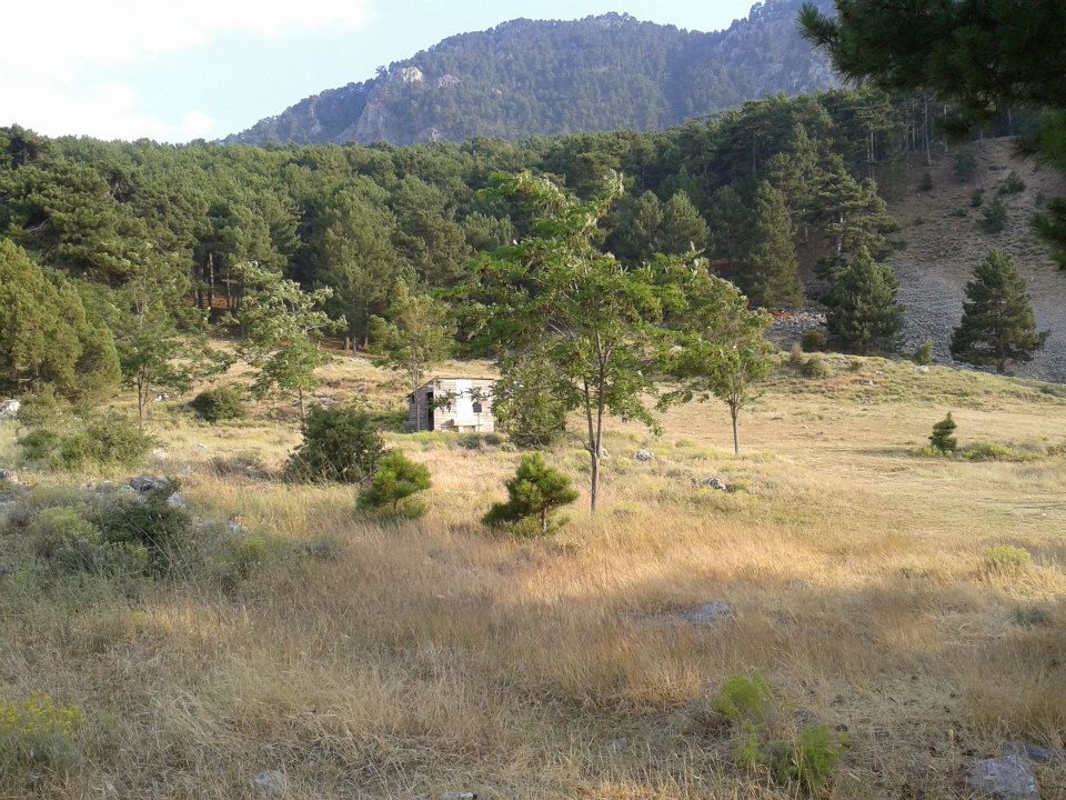 Bozkurt Çambaşı Köyü Resimleri 4