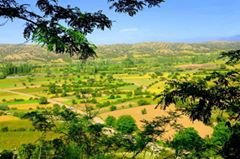 Bozkurt Çambaşı Köyü Resimleri 7