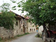 Bozkurt Çambaşı Köyü Resimleri 8