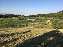 Bozkurt Çambaşı Köyü Resimleri 9