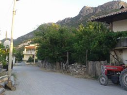 Bozkurt İnceler Köyü Resimleri 3