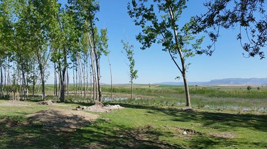 Bozkurt İnceler Köyü Resimleri 5