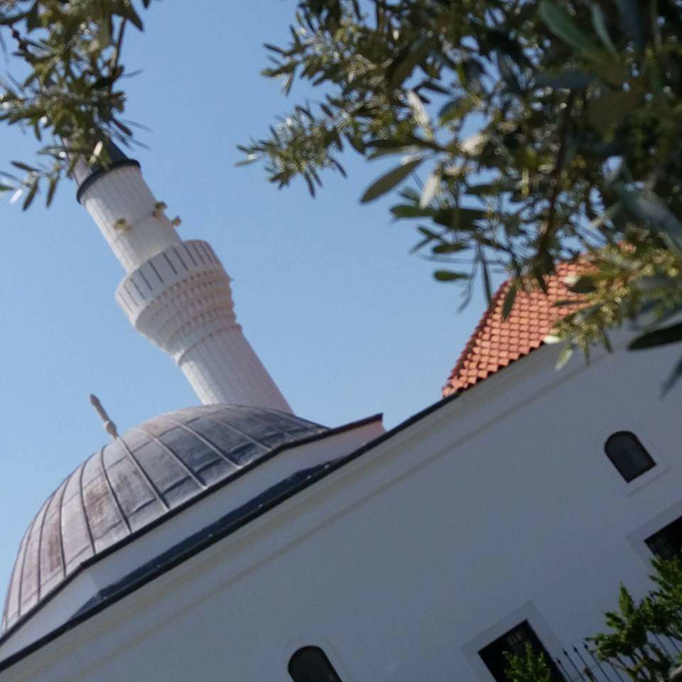 Bodrum Tepecik Köyü Resimleri 22