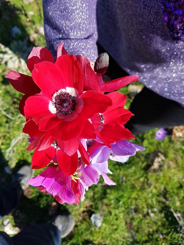 Bodrum Tepecik Köyü Resimleri 30