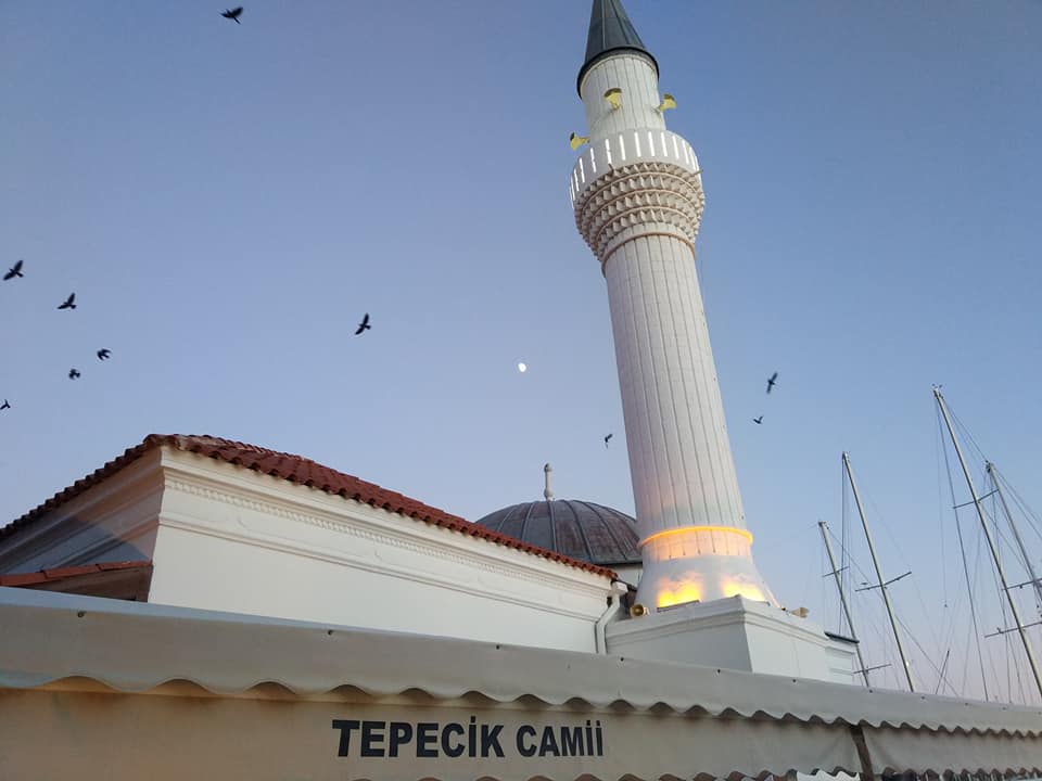 Bodrum Tepecik Köyü Resimleri 4