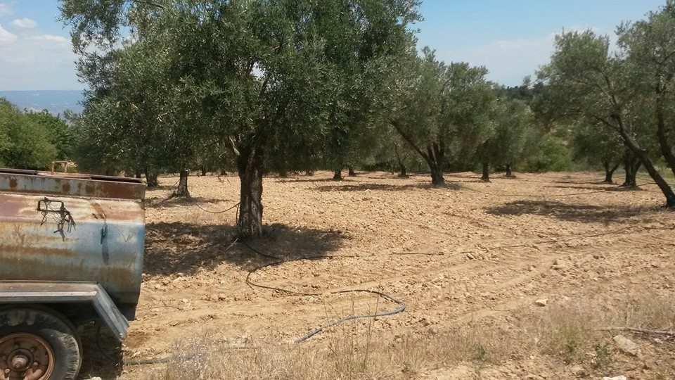 Buldan Bölmekaya Köyü Resimleri 1