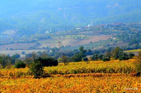 Buldan Bölmekaya Köyü Resimleri 2