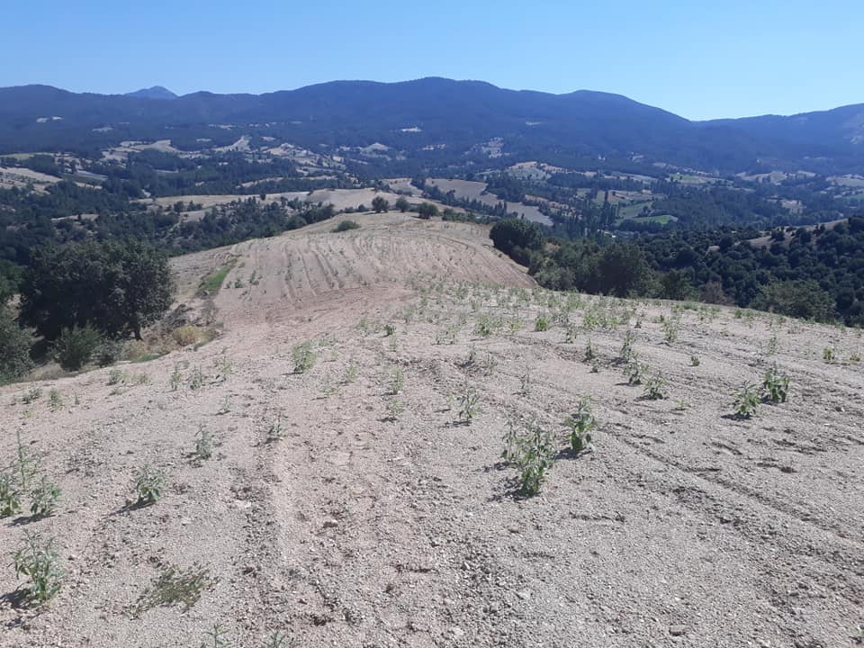 Buldan Gülalan Köyü Resimleri 4