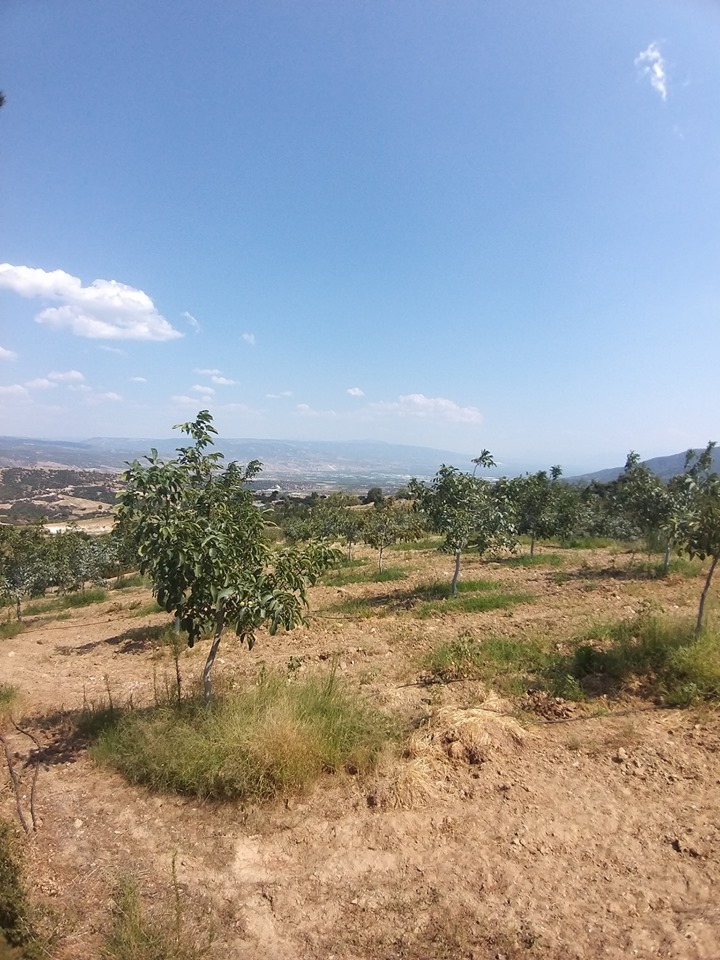 Buldan Helvacılar Köyü Resimleri 3