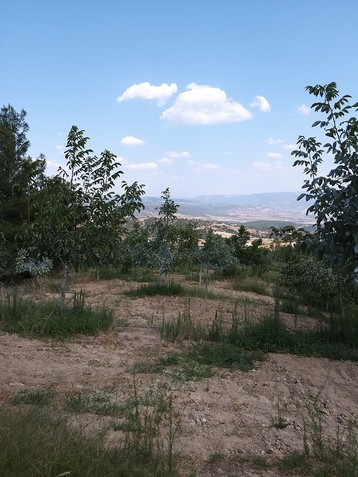 Buldan Helvacılar Köyü Resimleri 5