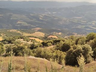 Buldan Kadıköy Köyü Resimleri 2