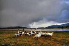 Buldan Süleymanlı Köyü Resimleri 5