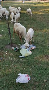 Buldan Süleymanlı Köyü Resimleri 8