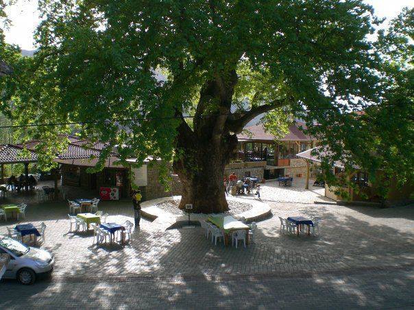 Marmaris Bayırköy Resimleri 15