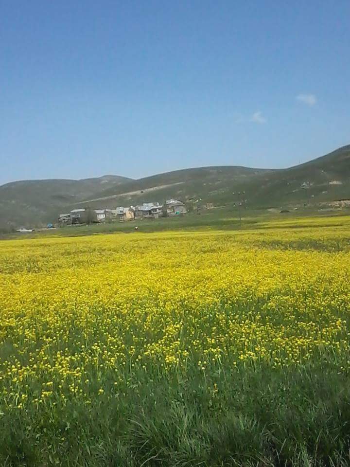 Otlukbeli Avcıçayırı Köyü Resimleri 7