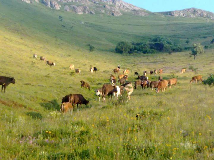 Otlukbeli Avcıçayırı Köyü Resimleri 8
