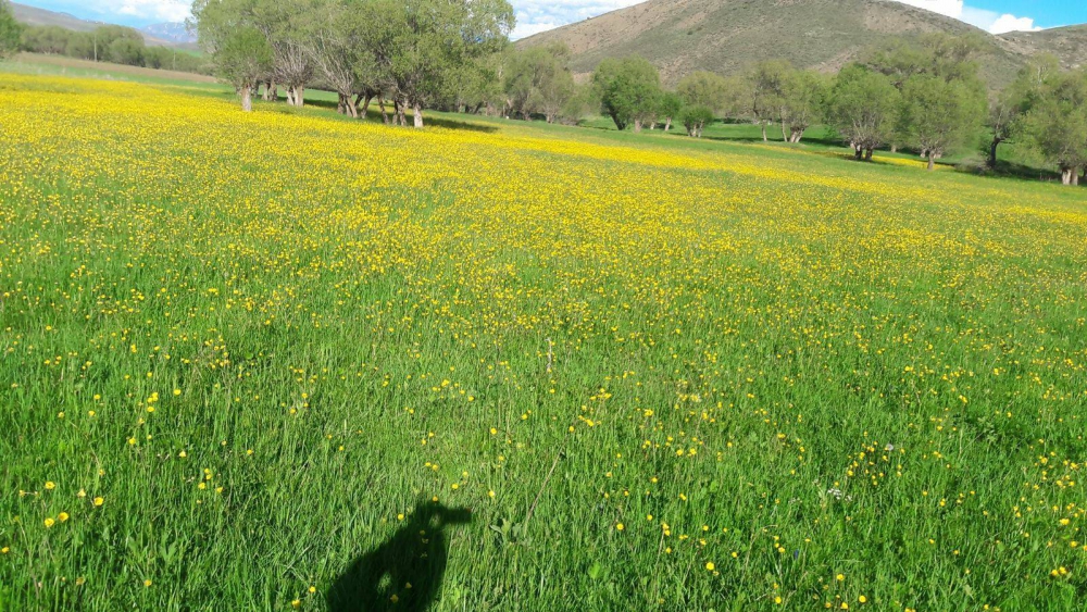 Otlukbeli Boğazlı Köyü Resimleri 12