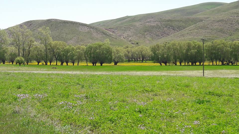 Otlukbeli Boğazlı Köyü Resimleri 2