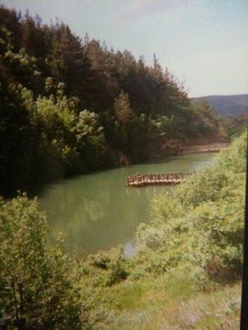 Refahiye Akarsu Köyü Resimleri 1