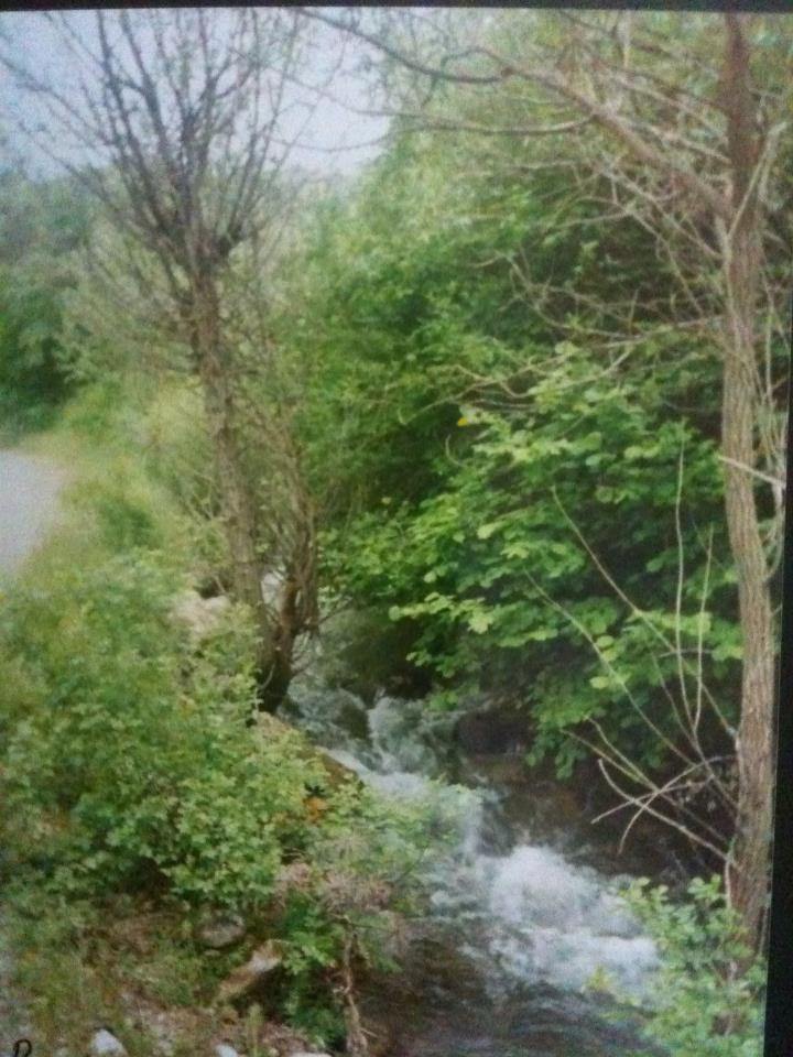 Refahiye Akarsu Köyü Resimleri 5