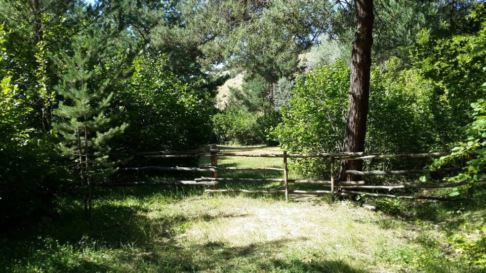 Refahiye Akarsu Köyü Resimleri 7