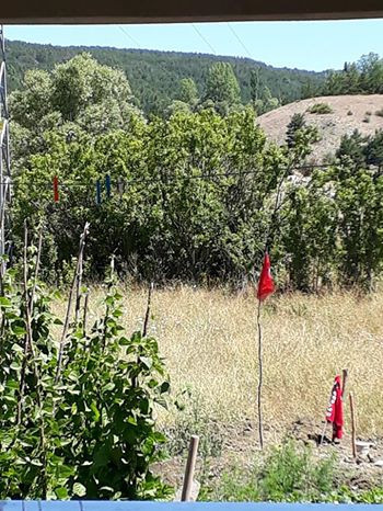 Refahiye Akarsu Köyü Resimleri 9