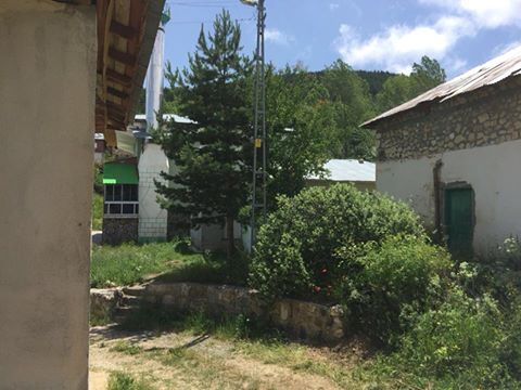 Refahiye Alacaatlı Köyü Resimleri 5