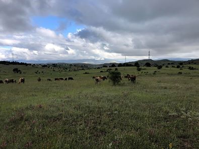 Refahiye Altköy Köyü Resimleri 3