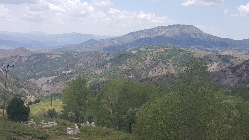 Refahiye Ardıçlık Köyü Resimleri 1