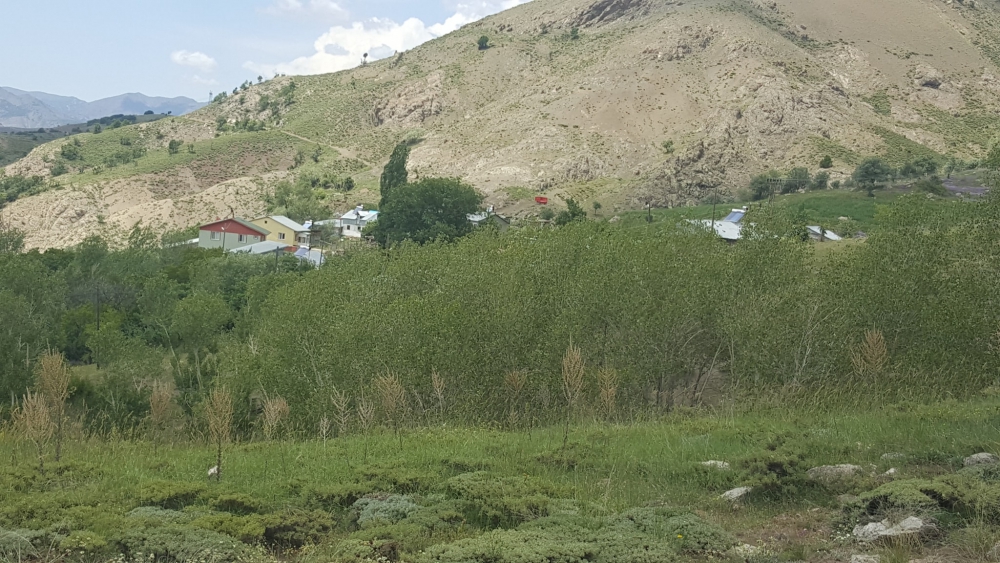 Refahiye Ardıçlık Köyü Resimleri 12