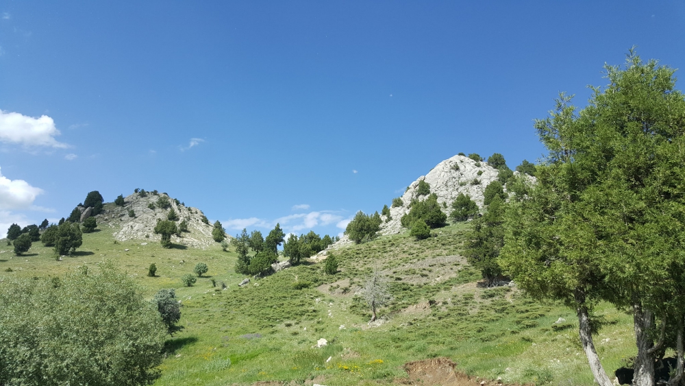 Refahiye Ardıçlık Köyü Resimleri 13